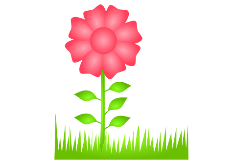 flower-flora-spring-to-flourish-6687138