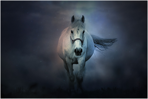 fantasy-horse-animals-mystic-magic-4284821