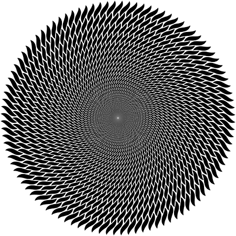 mandala-vortex-geometric-abstract-7584187