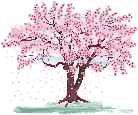 cherry-blossom-tree-spring-flowers-7081566