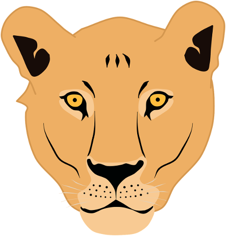 lioness-face-lion-cat-animal-5399587