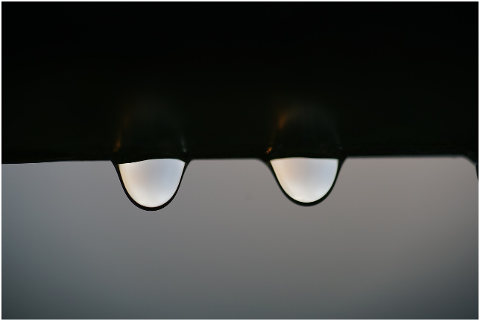 drip-raindrop-water-wet-4437627