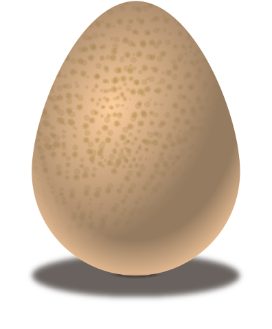 vector-egg-food-4677350