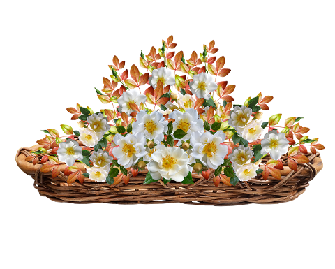 flowers-basket-arrangement-bouquet-6143526