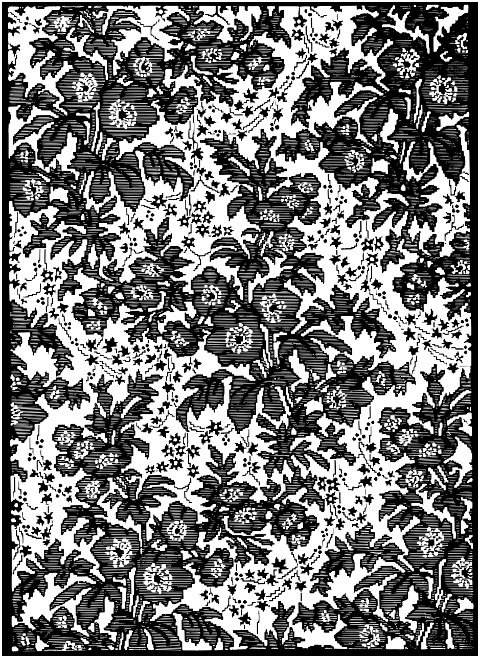 floral-drawing-pattern-design-6548880