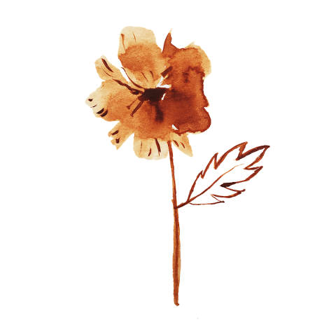flower-leaf-watercolor-stem-plant-5835571