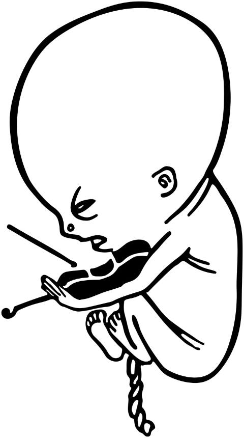 fetus-violin-music-cartoon-baby-7933584