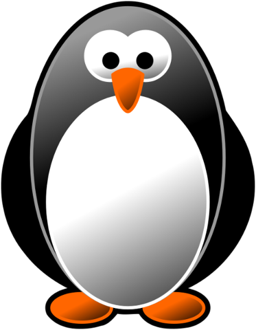 penguin-bird-nature-antarctica-4848563