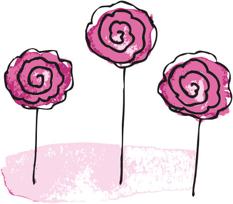 flower-roses-bloom-botany-plant-7074244