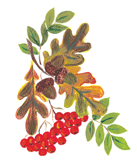 rowan-berries-acorn-leaves-autumn-7499642