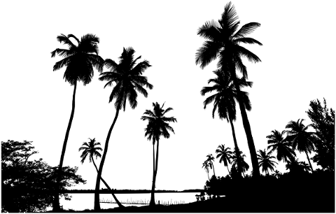 silhouette-tropical-palm-trees-5733955