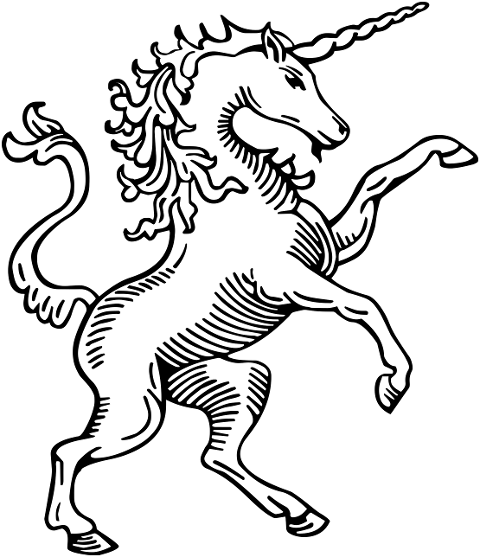 unicorn-horse-horn-magic-princess-6020539