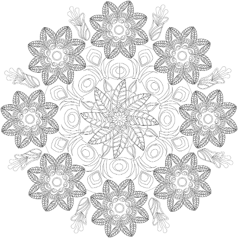 mandala-flowers-pattern-design-8077980