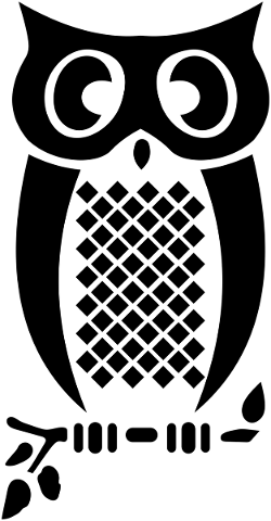 owl-bird-silhouette-animal-5767962