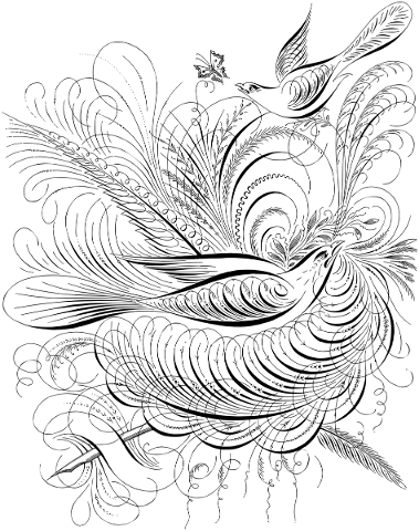 birds-flourish-decorative-4942493