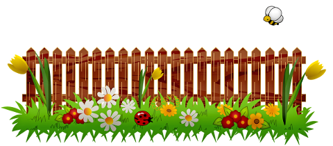 garden-spring-crops-park-birds-5019529