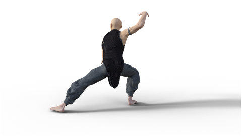 kung-fu-martial-arts-pose-fighter-4938615