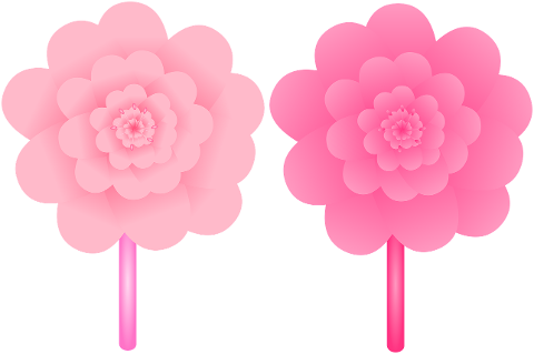 flowers-spring-pink-flower-pink-7212567